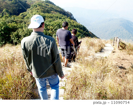 mountain, doi inthanon national park, chiangmai , Thailand 11090754
