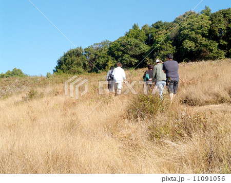 mountain, doi inthanon national park, chiangmai , Thailand 11091056