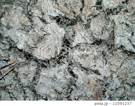 Dry land Cracked soil background Dry land Cracked soil background 11091237