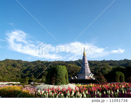 Doi Inthanon, Chiang Mai , Thailand 11091736