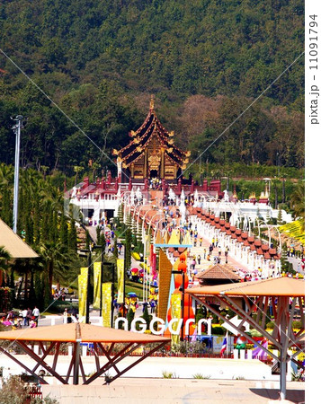 royal flora expo chiangmai thailand 11091794
