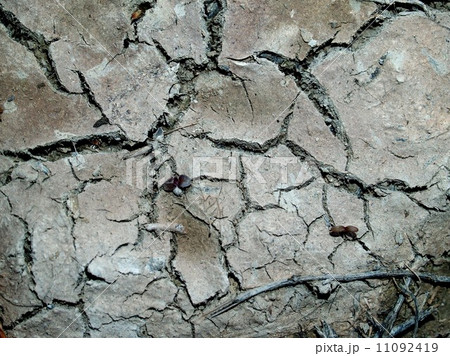 Dry land Cracked soil background 11092419