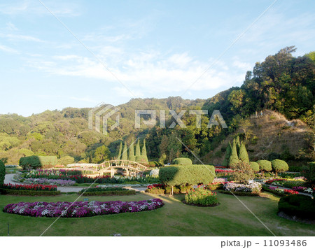Flower garden at Doi Inthanon mountain in Chiang Mai, Thailand. 11093486
