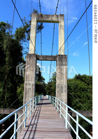suspension bridge over river in rainforest suspension bridge over river in rainforest 11094599