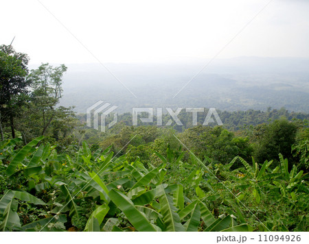 khao kho , mountain at Phetchabun , Thailand 11094926