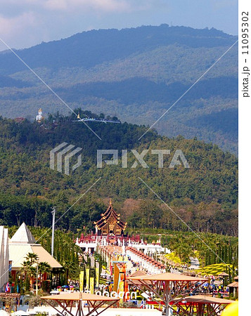 royal flora expo chiangmai thailand royal flora expo chiangmai thailand 11095302