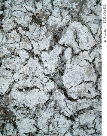 Dry land Cracked soil background Dry land Cracked soil background 11095881