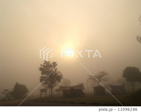 Khaoyai national park ,nakhonratchasrima ,thailand 11096286