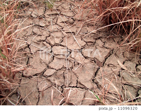 Dry land Cracked soil background Dry land Cracked soil background 11096320