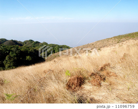 mountain, doi inthanon national park, chiangmai , Thailand mountain, doi inthanon national park, chiangmai , Thailand 11096759
