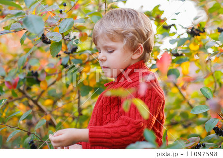 Funny little preschool boy sitting on a wall in late summer even Funny little preschool boy sitting on a wall in late summer even 11097598