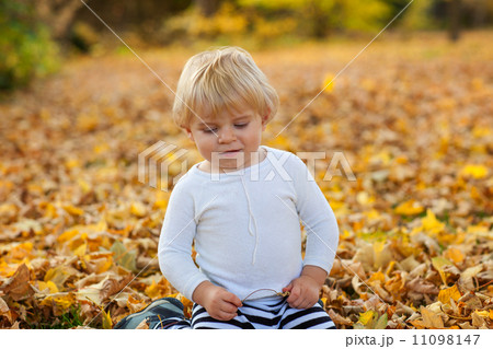 Little toddler boy playing in autumn park Little toddler boy playing in autumn park 11098147