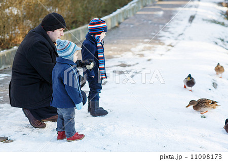 Father and two little siblings boys feeding ducks in winter. 11098173