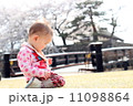 お花見 11098864