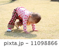 お花見 11098866