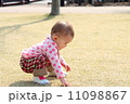 お花見 11098867