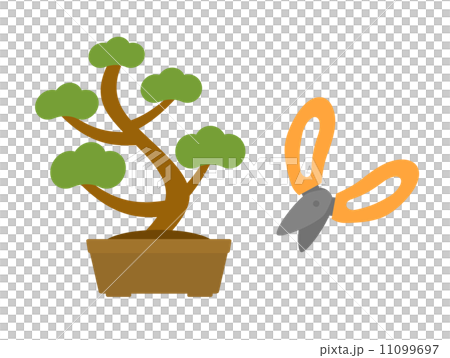 Bonsai and gardening scissors 11099697