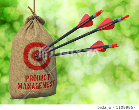 Product Management - Arrows Hit in Red Target. 11099967