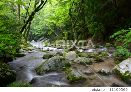 花貫渓谷 花貫渓谷 11100566