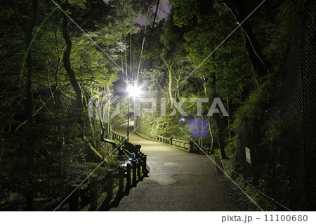 箕面大滝　箕面国定公園 11100680