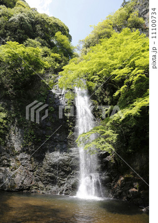 箕面大滝 箕面国定公園 箕面大滝 箕面国定公園 11100734