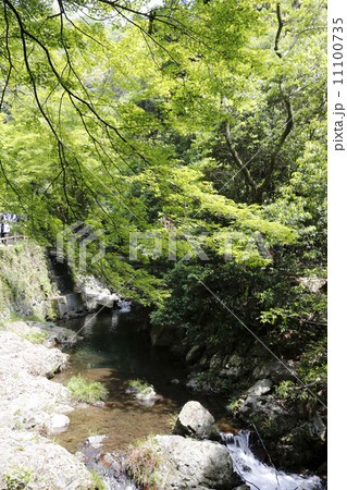 箕面大滝　箕面国定公園 11100735