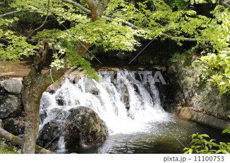 箕面大滝 箕面国定公園 箕面大滝 箕面国定公園 11100753