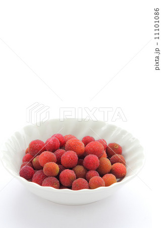 ヤマモモ 11101086