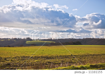 rural meadow landscape 11101155