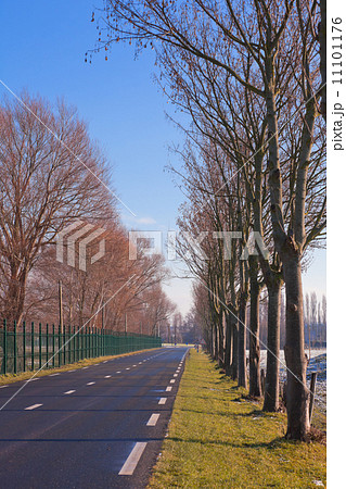 Country Road with Trees Country Road with Trees 11101176