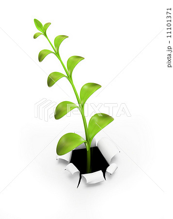 Young green sprout multivalent 11101371
