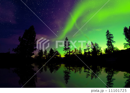 Northern lights aurora borealis in the night sky Northern lights aurora borealis in the night sky 11101725