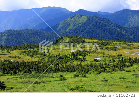 夏の苗場山頂上湿原を見渡す 夏の苗場山頂上湿原を見渡す 11102723