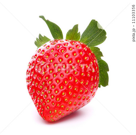 Strawberry 11103356