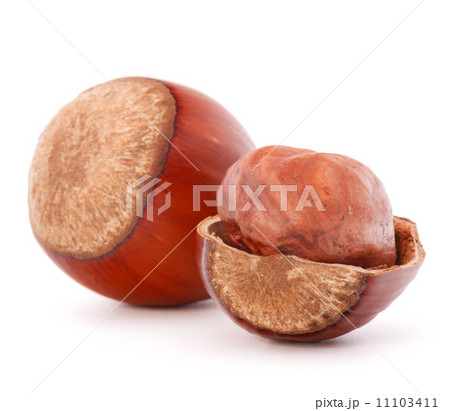 hazelnut or filbert nut isolated on white background cutout 11103411