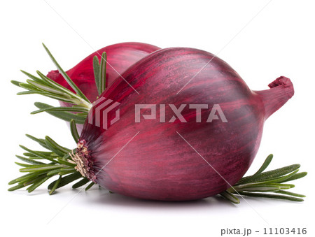 red onion and rosemary leaves 11103416