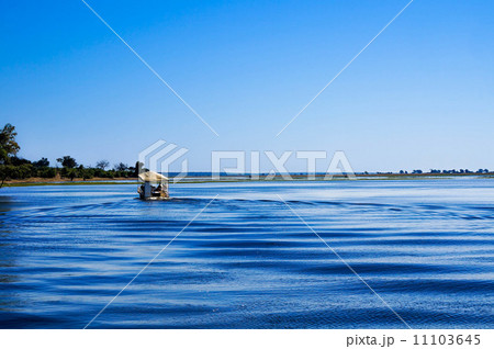 Zambezi River Zambezi River 11103645