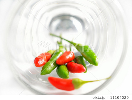 Chili in glass, isolated on white 11104029