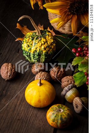 Still life in colours of autumn Still life in colours of autumn 11104858
