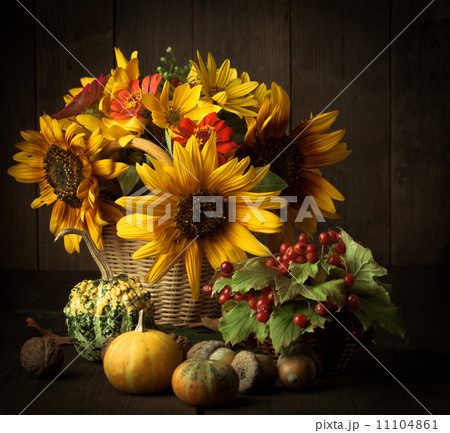 Still life in colours of autumn 11104861