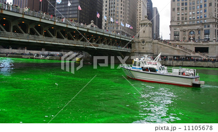 Chicago River dyed by green color for St. Patrick's Day Chicago River dyed by green color for St. Patrick's Day 11105678