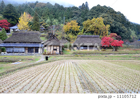 稲刈りの終わった八塔寺ふるさと村 稲刈りの終わった八塔寺ふるさと村 11105712