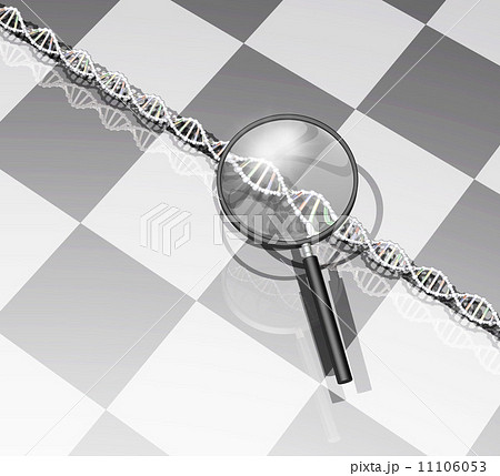 DNA遺伝子情報を調べる 11106053