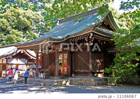 川越氷川神社 11106067
