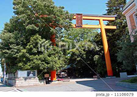 川越氷川神社 川越氷川神社 11106079