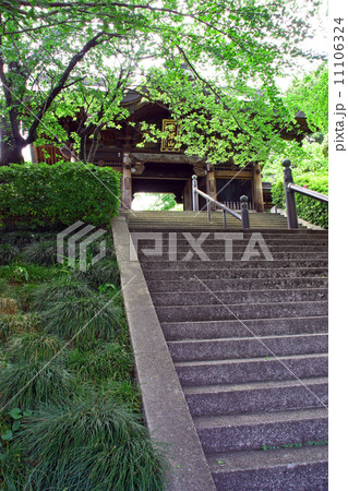 乗蓮寺 乗蓮寺 11106324