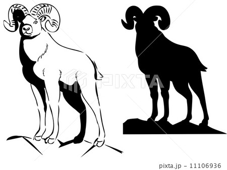 オオツノヒツジ オオツノヒツジ 11106936