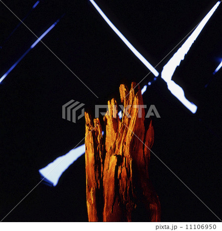 流木オブジェ 流木オブジェ 11106950