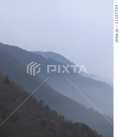 朝霧にかすむ七宝山(香川県三豊市七宝山林道より) 朝霧にかすむ七宝山(香川県三豊市七宝山林道より) 11107333