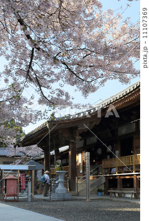 四国霊場第67番札所「大興寺」本堂前のお遍路さんと桜 四国霊場第67番札所「大興寺」本堂前のお遍路さんと桜 11107369